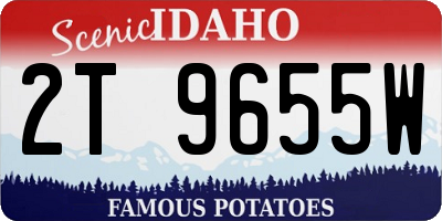 ID license plate 2T9655W