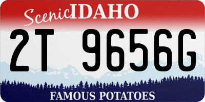 ID license plate 2T9656G