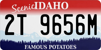 ID license plate 2T9656M