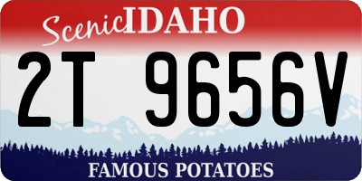 ID license plate 2T9656V