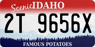 ID license plate 2T9656X