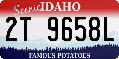 ID license plate 2T9658L