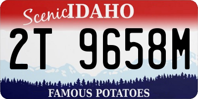 ID license plate 2T9658M