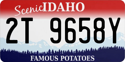 ID license plate 2T9658Y