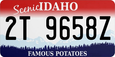 ID license plate 2T9658Z