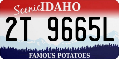 ID license plate 2T9665L