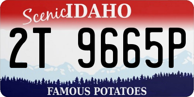 ID license plate 2T9665P