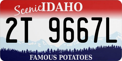 ID license plate 2T9667L