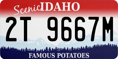 ID license plate 2T9667M