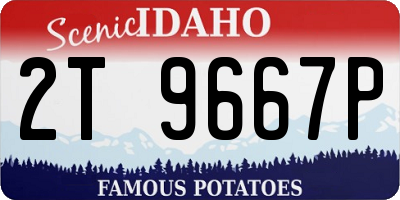 ID license plate 2T9667P
