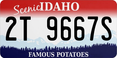 ID license plate 2T9667S