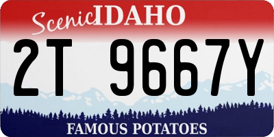 ID license plate 2T9667Y