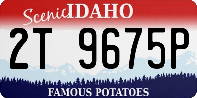 ID license plate 2T9675P