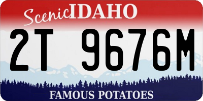 ID license plate 2T9676M