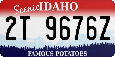 ID license plate 2T9676Z