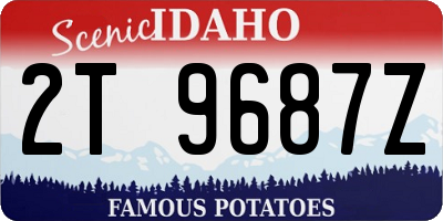 ID license plate 2T9687Z