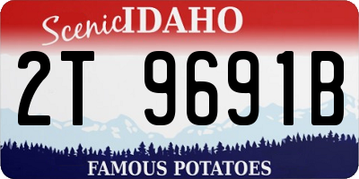 ID license plate 2T9691B