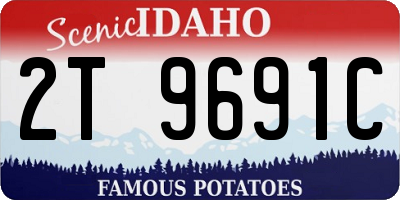 ID license plate 2T9691C