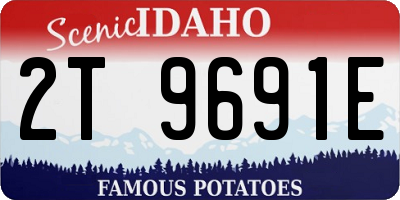 ID license plate 2T9691E