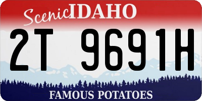 ID license plate 2T9691H