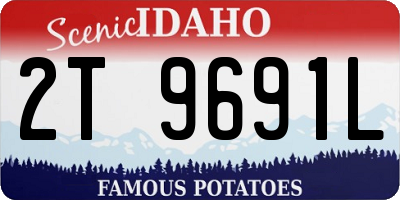 ID license plate 2T9691L