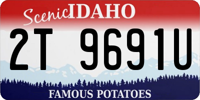 ID license plate 2T9691U