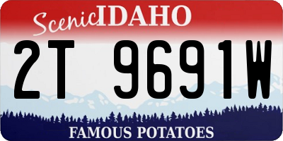 ID license plate 2T9691W