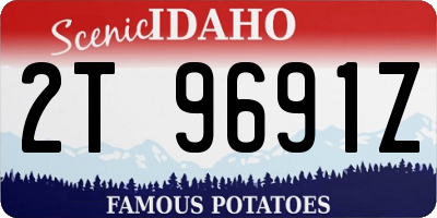 ID license plate 2T9691Z