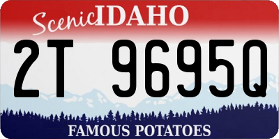 ID license plate 2T9695Q