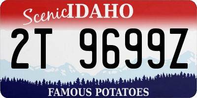 ID license plate 2T9699Z