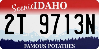 ID license plate 2T9713N