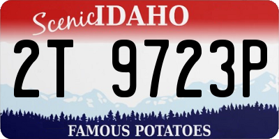 ID license plate 2T9723P