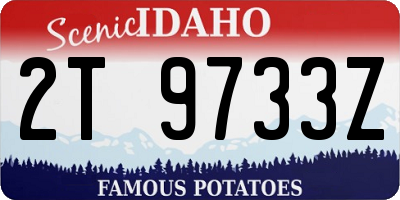 ID license plate 2T9733Z