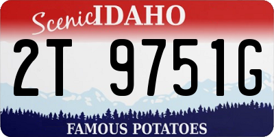 ID license plate 2T9751G