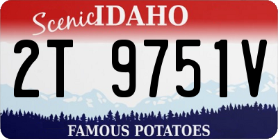 ID license plate 2T9751V