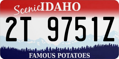 ID license plate 2T9751Z