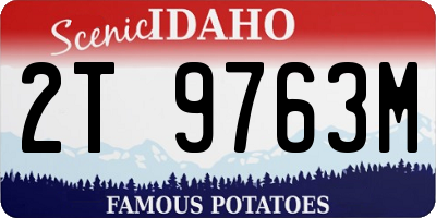 ID license plate 2T9763M