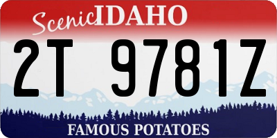 ID license plate 2T9781Z