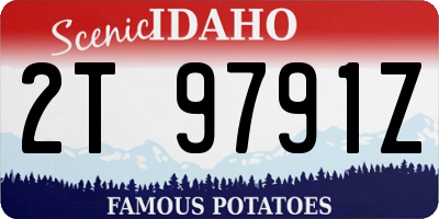 ID license plate 2T9791Z