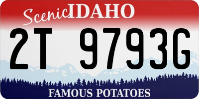 ID license plate 2T9793G