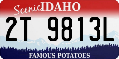 ID license plate 2T9813L