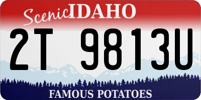 ID license plate 2T9813U