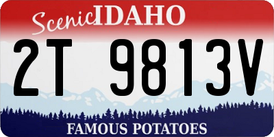 ID license plate 2T9813V