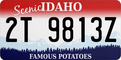 ID license plate 2T9813Z