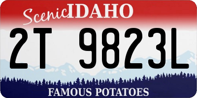 ID license plate 2T9823L