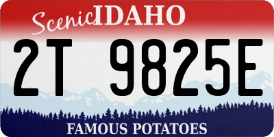 ID license plate 2T9825E