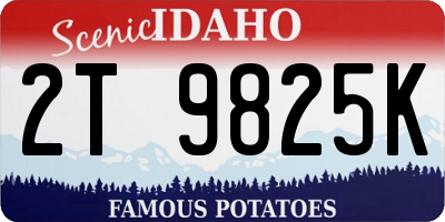 ID license plate 2T9825K