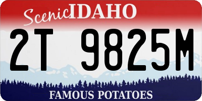 ID license plate 2T9825M