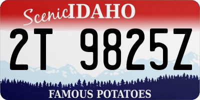 ID license plate 2T9825Z