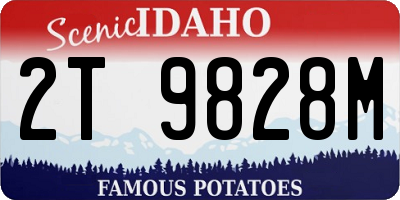 ID license plate 2T9828M